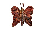 Butterfly Eileen 2