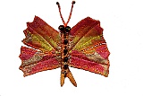 Butterfly Eileen 3