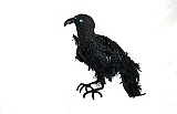 Ann Brown Scraggy Old Crow