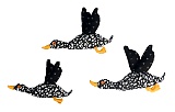 Dot Flying Ducks II